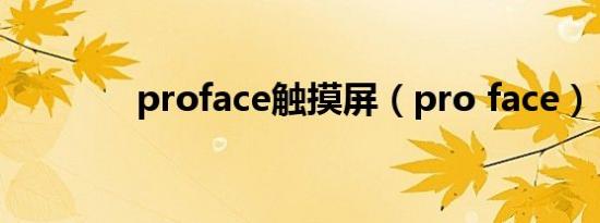 proface触摸屏（pro face）