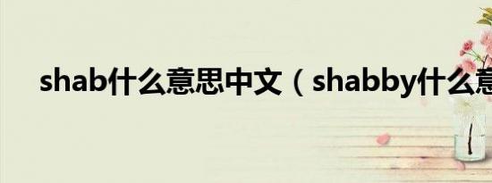 shab什么意思中文（shabby什么意思）