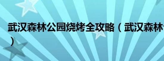 武汉森林公园烧烤全攻略（武汉森林公园烧烤）