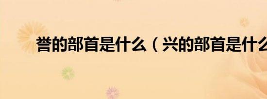 誉的部首是什么（兴的部首是什么）