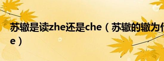 苏辙是读zhe还是che（苏辙的辙为什么读che）