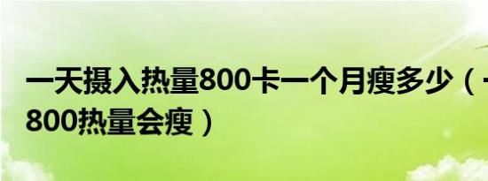 一天摄入热量800卡一个月瘦多少（一天摄入800热量会瘦）