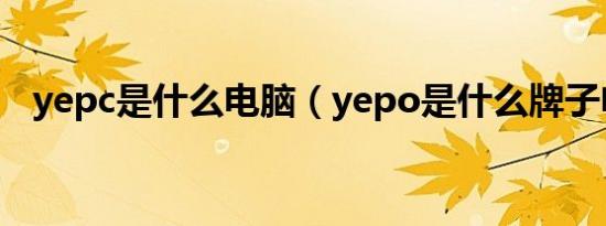 yepc是什么电脑（yepo是什么牌子电脑）