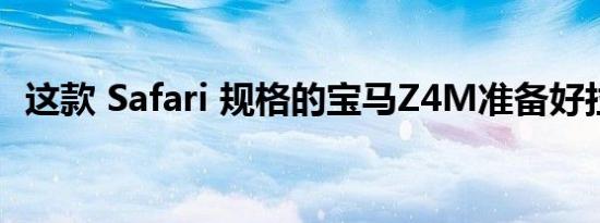 这款 Safari 规格的宝马Z4M准备好拉力了