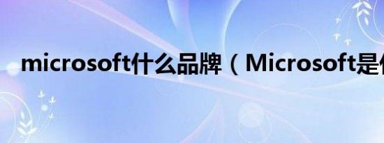 microsoft什么品牌（Microsoft是什么）