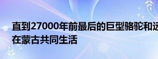 直到27000年前最后的巨型骆驼和远古人类在蒙古共同生活