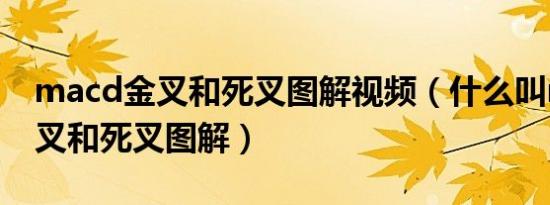 macd金叉和死叉图解视频（什么叫macd金叉和死叉图解）