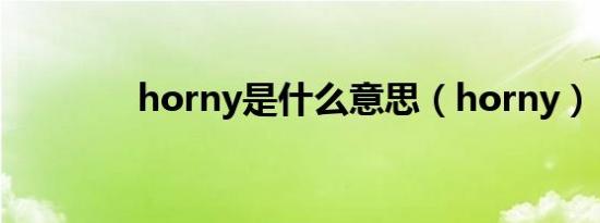 horny是什么意思（horny）