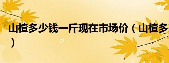 山楂多少钱一斤现在市场价（山楂多少钱一斤）