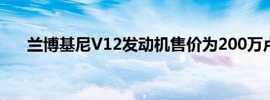 兰博基尼V12发动机售价为200万卢布