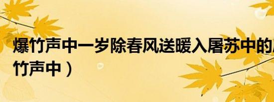 爆竹声中一岁除春风送暖入屠苏中的屠苏（爆竹声中）