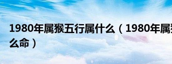 1980年属猴五行属什么（1980年属猴的是什么命）