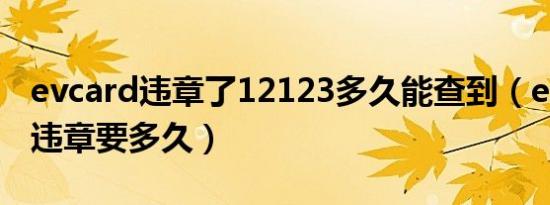 evcard违章了12123多久能查到（evcard查违章要多久）