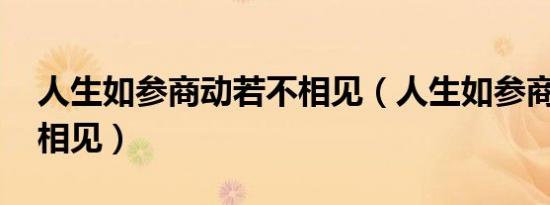 人生如参商动若不相见（人生如参商 动若不相见）