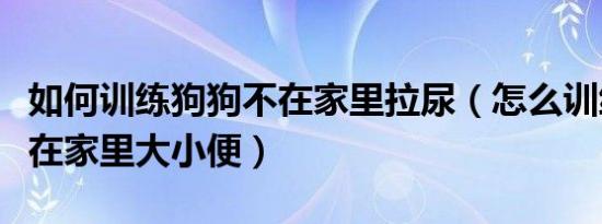 如何训练狗狗不在家里拉尿（怎么训练狗狗不在家里大小便）