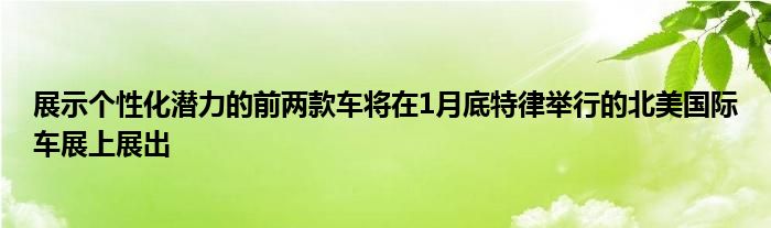 展示个性化潜力的前两款车将在1月底特律举行的北美国际车展上展出(图1)