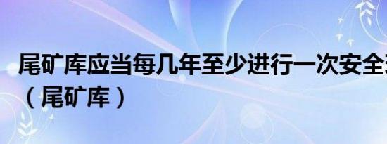 尾矿库应当每几年至少进行一次安全现状评价（尾矿库）