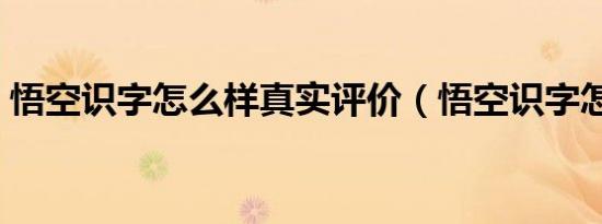 悟空识字怎么样真实评价（悟空识字怎么样）