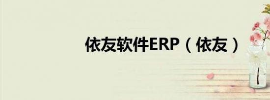 依友软件ERP（依友）