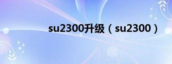 su2300升级（su2300）