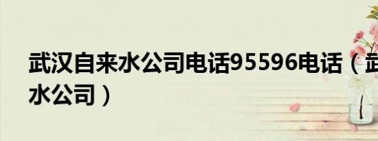 武汉自来水公司电话95596电话（武汉自来水公司）