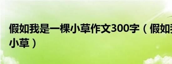 假如我是一棵小草作文300字（假如我是一棵小草）