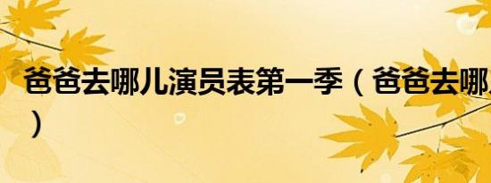 爸爸去哪儿演员表第一季（爸爸去哪儿演员表）