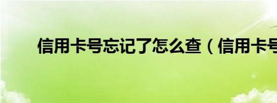 信用卡号忘记了怎么查（信用卡号）