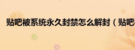 贴吧被系统永久封禁怎么解封（贴吧被封）