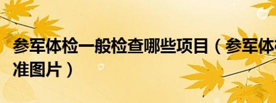 参军体检一般检查哪些项目（参军体检下蹲标准图片）