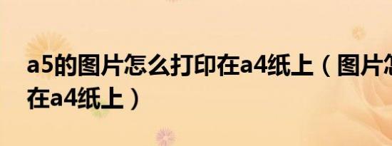 a5的图片怎么打印在a4纸上（图片怎么打印在a4纸上）