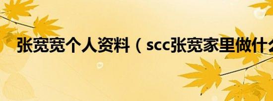 张宽宽个人资料（scc张宽家里做什么的）