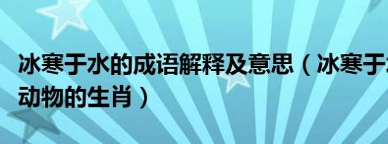 冰寒于水的成语解释及意思（冰寒于水是什么动物的生肖）