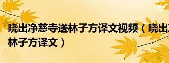 晓出净慈寺送林子方译文视频（晓出净慈寺送林子方译文）