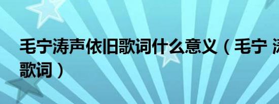 毛宁涛声依旧歌词什么意义（毛宁 涛声依旧歌词）