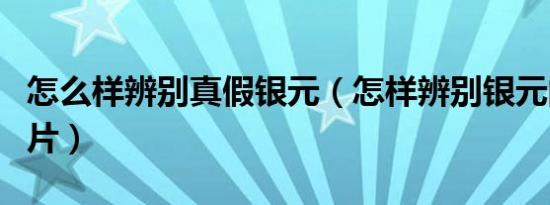 怎么样辨别真假银元（怎样辨别银元的真假图片）