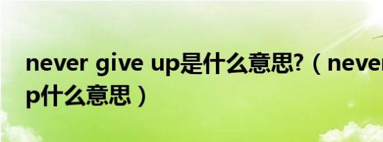 never give up是什么意思?（never give up什么意思）