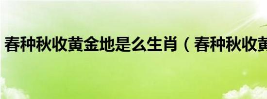 春种秋收黄金地是么生肖（春种秋收黄金地）