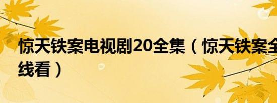 惊天铁案电视剧20全集（惊天铁案全20集在线看）