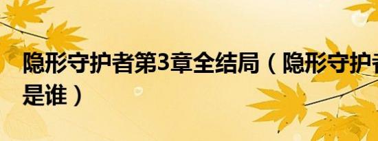 隐形守护者第3章全结局（隐形守护者第三号是谁）