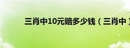 三肖中10元赔多少钱（三肖中）