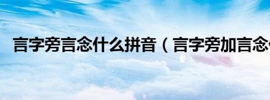 言字旁言念什么拼音（言字旁加言念什么）