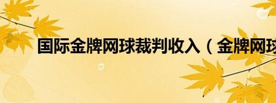 国际金牌网球裁判收入（金牌网球）