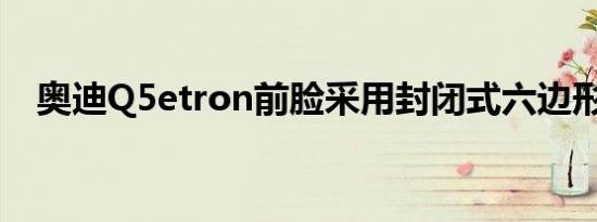 奥迪Q5etron前脸采用封闭式六边形格栅