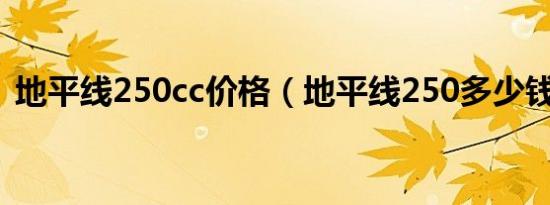 地平线250cc价格（地平线250多少钱一辆）