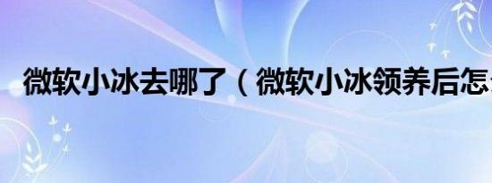 微软小冰去哪了（微软小冰领养后怎么用）