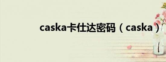 caska卡仕达密码（caska）