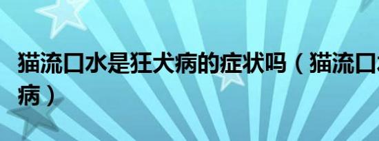 猫流口水是狂犬病的症状吗（猫流口水是狂犬病）