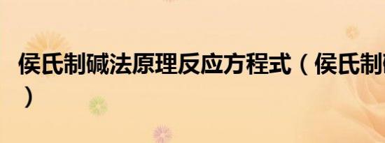 侯氏制碱法原理反应方程式（侯氏制碱法原理）