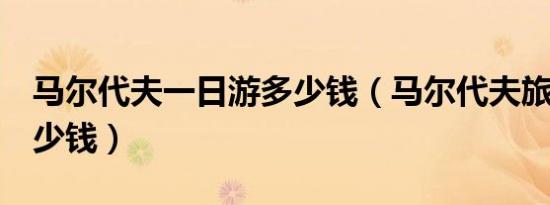 马尔代夫一日游多少钱（马尔代夫旅游5天多少钱）